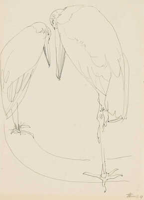 Шишмарёва Татьяна Владимировна. Цапли